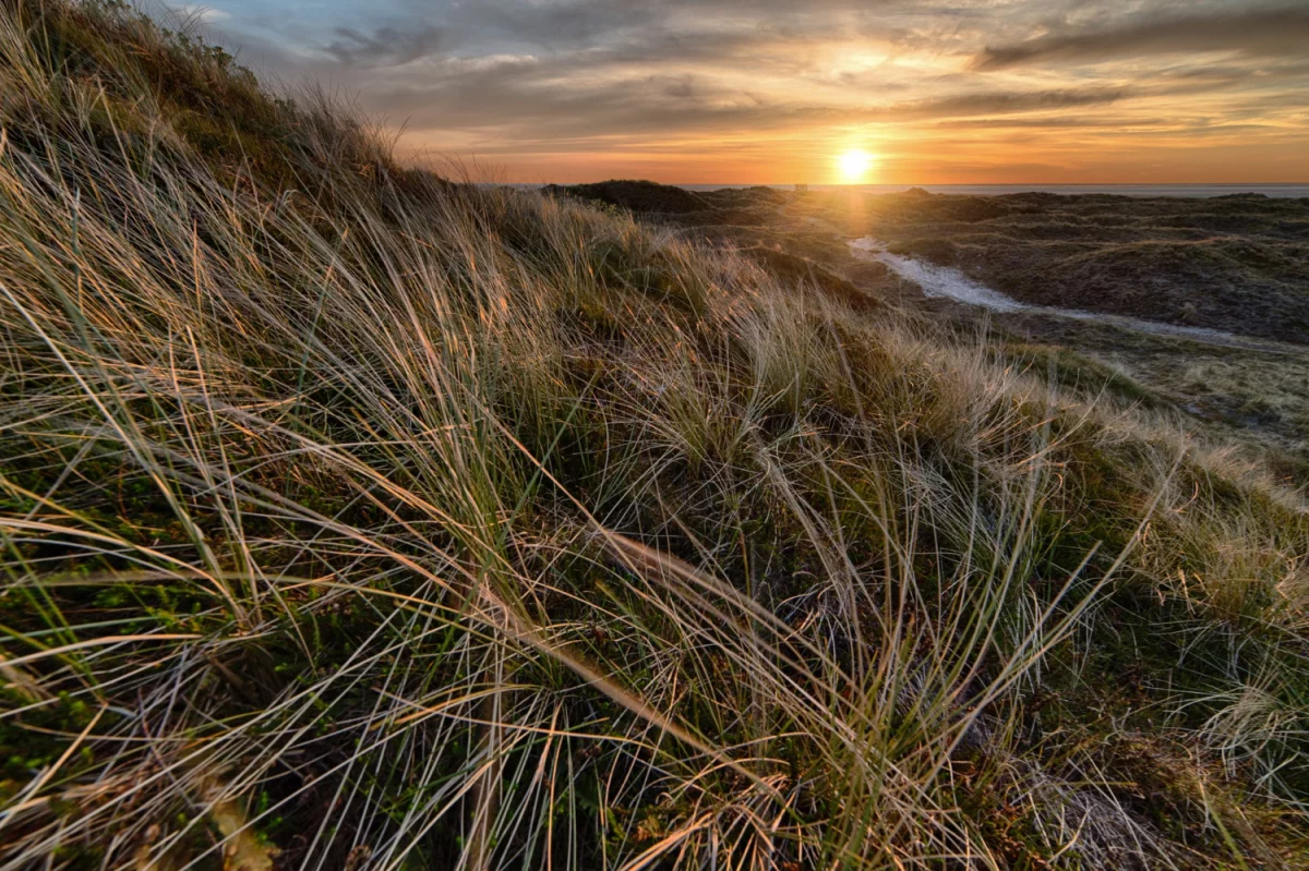 Ochrona środowiska dla firm w Polsce: Kluczowe działania i korzyści dla przedsiębiorstw