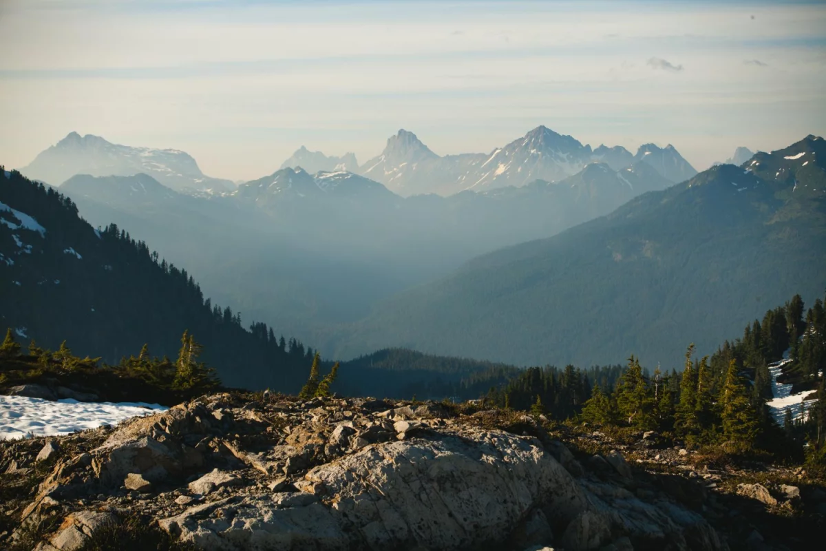 Biznes meblowy w Polsce: Trendy, Wyzwania i Przyszłość Branży